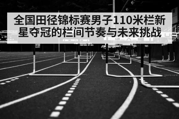 全国田径锦标赛男子110米栏新星夺冠的栏间节奏与未来挑战